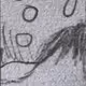 164