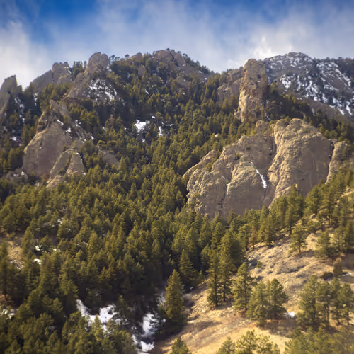 Landscapes