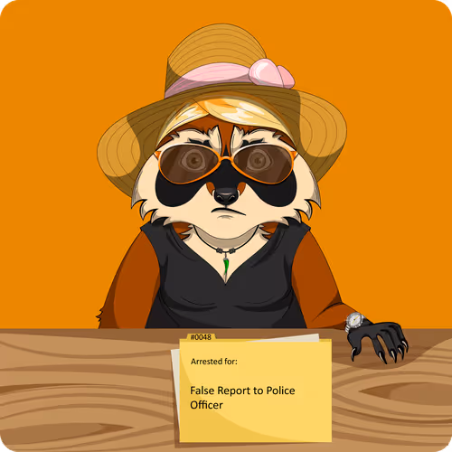 Raccoons In Custody 1