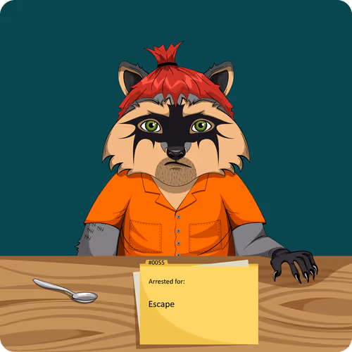 Raccoons In Custody 1