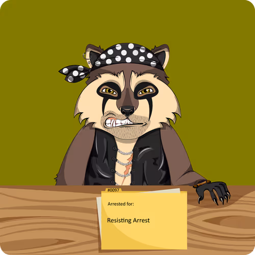 Raccoons In Custody 1