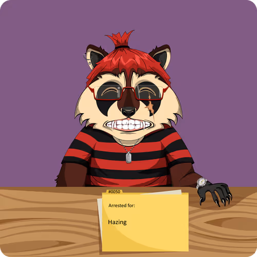 Raccoons In Custody 1