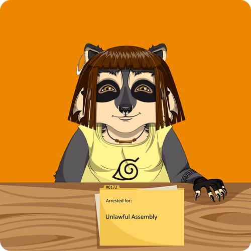 Raccoons In Custody 1