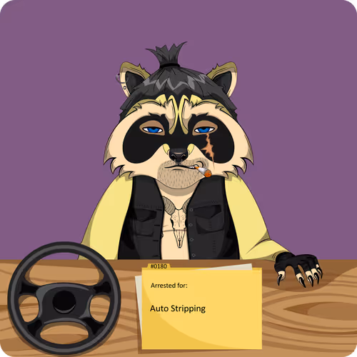 Raccoons In Custody 1