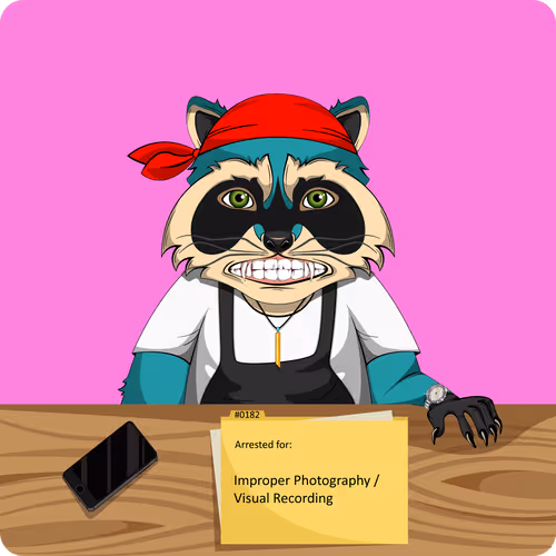 Raccoons In Custody 1