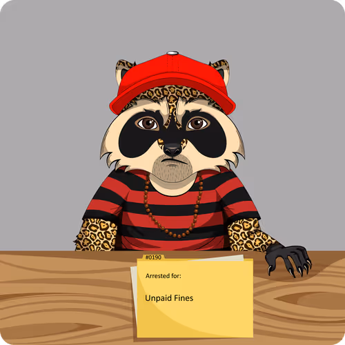 Raccoons In Custody 1