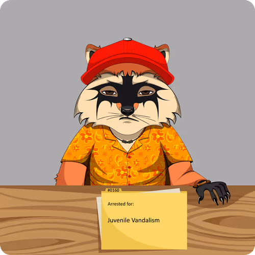Raccoons In Custody 1