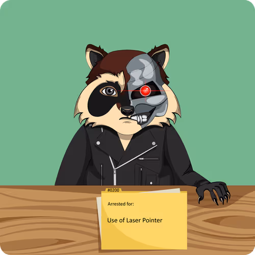 Raccoons In Custody 1