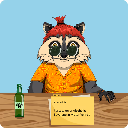 Raccoons In Custody 1
