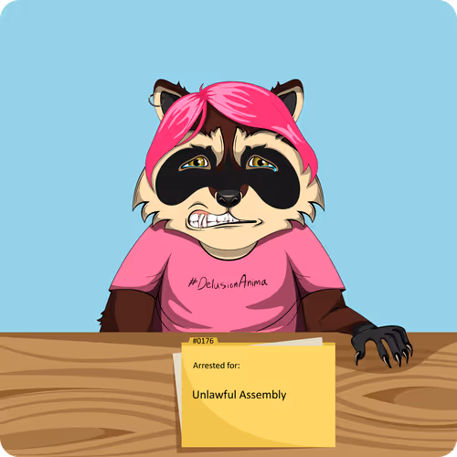 Raccoons In Custody 1