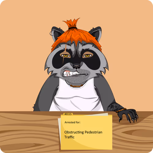 Raccoons In Custody 1