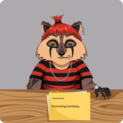 Raccoons In Custody 1