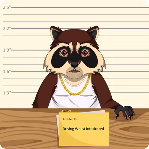 Raccoons In Custody 1