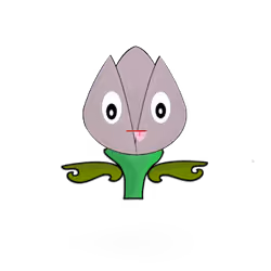 Tulipa normieus