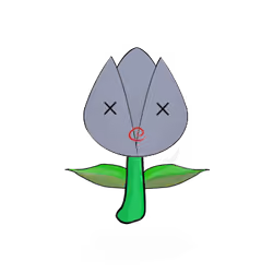 Tulipa normieus