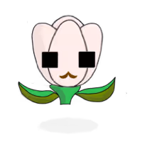 Tulipa chroma