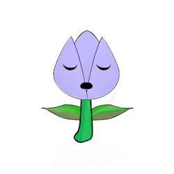 Tulipa normieus