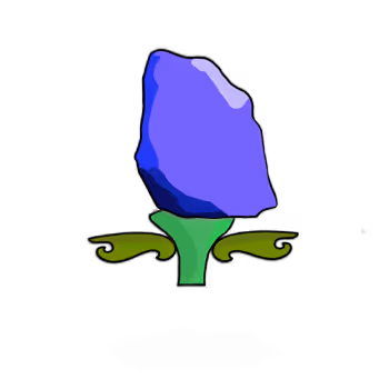 Tulipa rock