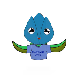 Tulipa normieus