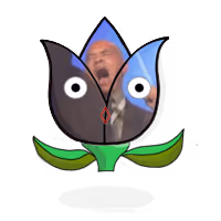 Ethertulips