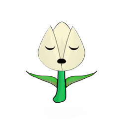 Tulipa normieus
