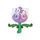 Tulipa normieus