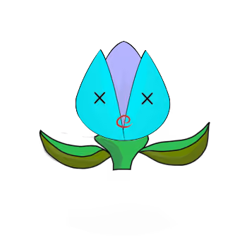 Tulipa dinormieus