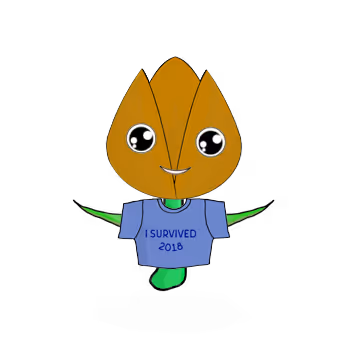 Tulipa normieus