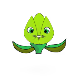 Tulipa normieus