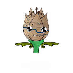 Tulipa ornatus