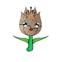 Tulipa ornatus circuitous