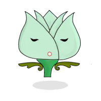 Tulipa chroma