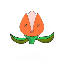 Tulipa dinormieus