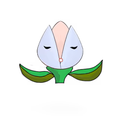 Tulipa dinormieus