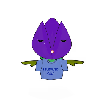 Tulipa normieus