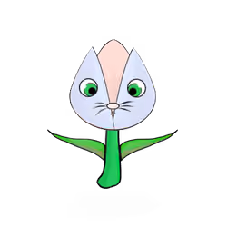 Tulipa dinormieus
