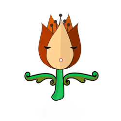 Tulipa ornatus