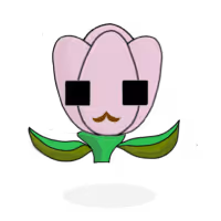 2538