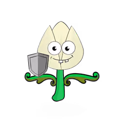Tulipa normieus