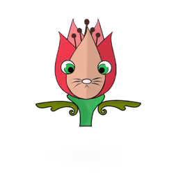 Tulipa ornatus