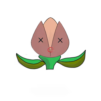 Tulipa dinormieus