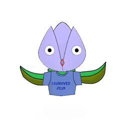 Tulipa normieus