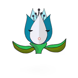 Tulipa ornatus