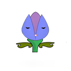 Tulipa dinormieus