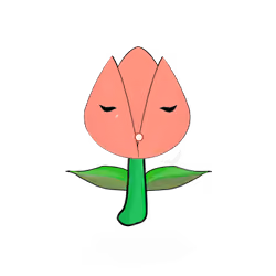 Tulipa normieus