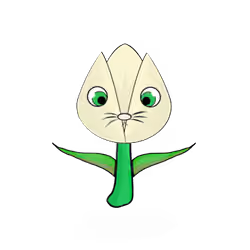 Tulipa normieus