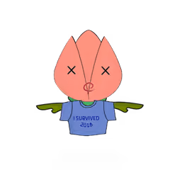 Tulipa normieus
