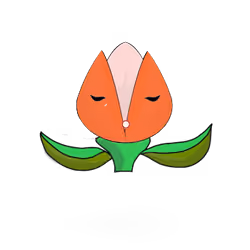 Tulipa dinormieus