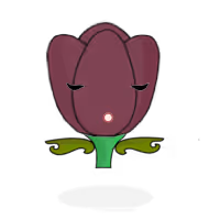 Tulipa plebeius