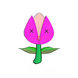 Tulipa dinormieus